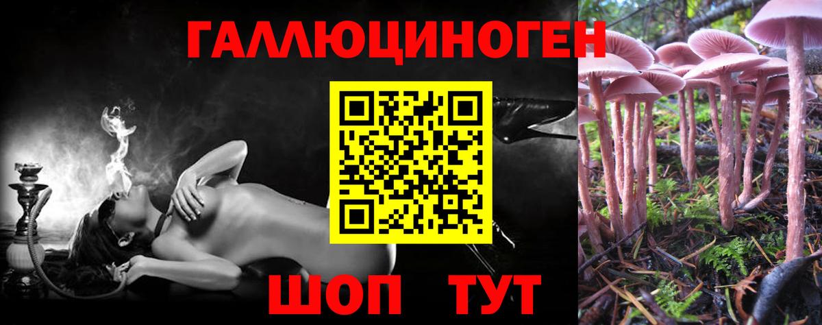 Галлюциногенные грибы Psilocybine cubensis Губкинский
